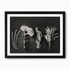 Monochrome Pins 4 Art Print