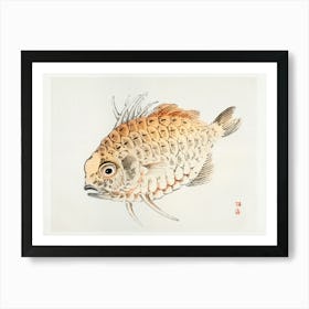 Fish, Kōno Bairei Art Print
