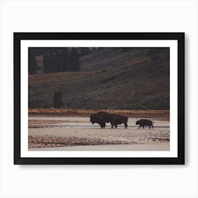 Bison River Landscape Art Print