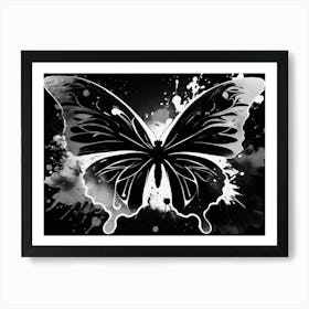 Butterfly 37 Art Print