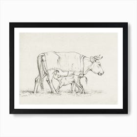 Calf Drinking With His Mother, Jean Bernard Art Print