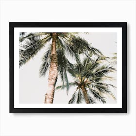 Palm Trees Art Print