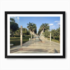 Park With Palm Trees Art Print