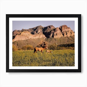 Salt River Canyon Horses Art Print