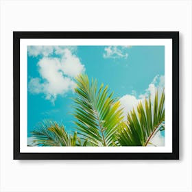 Palm Tree Against Blue Sky 3 Art Print