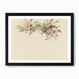 Cactus Flowers Art Print