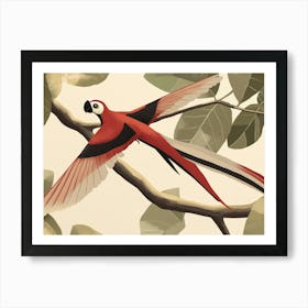 Red Macaw Art Print