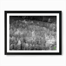 Black And White forest 20230416110474rt1pub Art Print