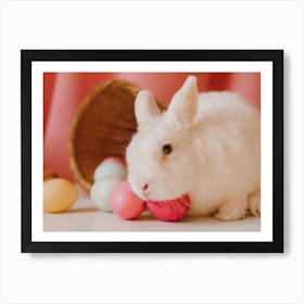 Easter Bunny 14 Art Print