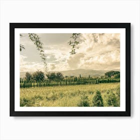 Tuscany Fields Art Print