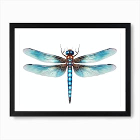 Dragonfly Blue Eyed Darner Pencil Drawing 2 Art Print