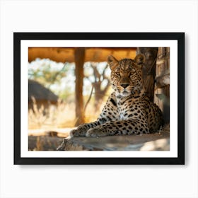 Leopard In A Hut Art Print