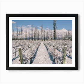 Unitltled 22 - Snow in the Vineyard Series Art Print