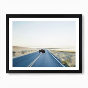 Buffalo Crossing Art Print