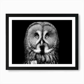 Black and White Owl Art Print