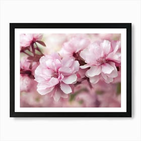 Cherry Blossoms Art Print