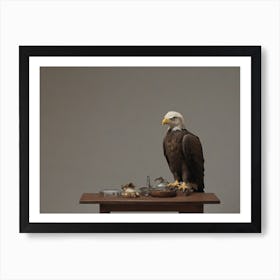 Bald Eagle Art Print