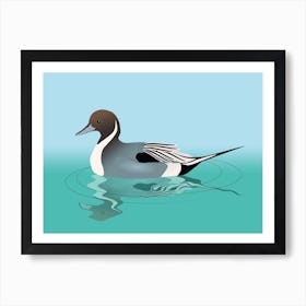 A vector illustration of a northern pintail Art Print