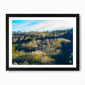 Aerial View Of A Forest 20230415190564pub Art Print