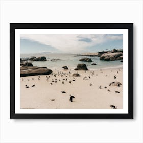 Penguins On The Beach In South Africa Art Print