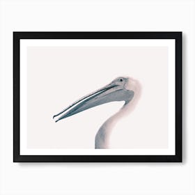 Toned Photograph Of A Pelican Art Print