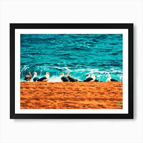 Seagulls On The Beach 201310261371rt1pub Art Print