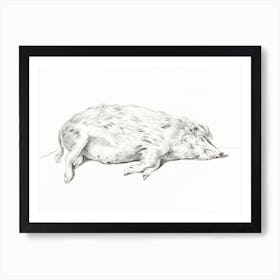 Lying Pig, Jean Bernard Art Print