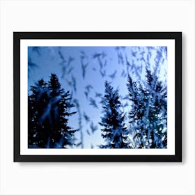 Trees Reflected On A Frosted Window Shield In Anchorage Art Print