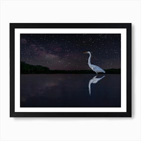 White Egret at Night 3 Art Print