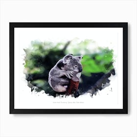 Koala Park Sanctuary, Sydney, New South Wales Art Print