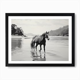 A Horse Oil Painting In Lopes Mendes Beach, Brazil, Landscape 4 Art Print