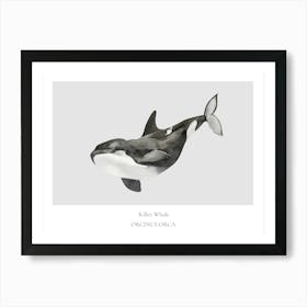 Orca Whale Art Print