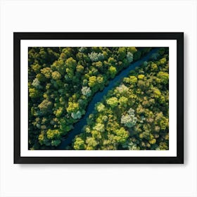 Aerial View Capturing The Vibrant Canvas Of A Lush Green Forest In Springtime Canopy Of Dense Reju (2) Art Print