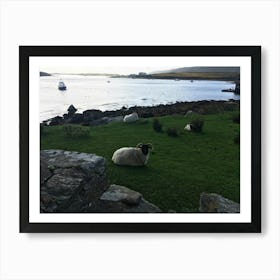 Relaxing Sheep Art Print