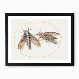 Two Hawk Moths (1575–1580), Joris Hoefnagel Art Print