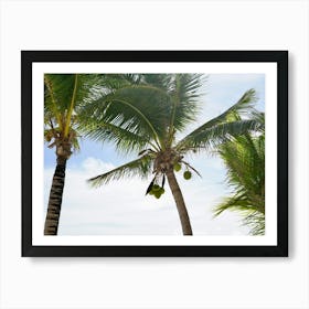 Palm Trees On The Beach Art Print