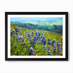 Lupine Mountain Background Art Print