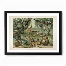 Vintage Meyers 3 Äthiopische Fauna Art Print