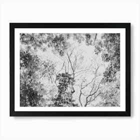 Treetops In Black Grey And White Art Print