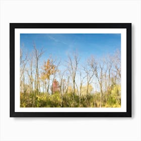 Reflection Of Trees In A Lake Art Print