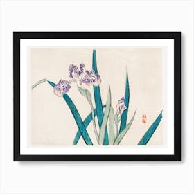 Irises Art Print