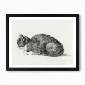 Lying Cat (1800), Jean Bernard Art Print