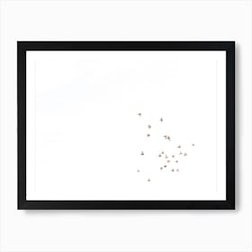 Flock Of Birds Flying In The Sky | Morocco | Minimal Art Print | white Art Print