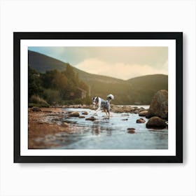 Australian Shepherd Running In Water- Scotland Highland UK dog photo print - moody animal photography Art Print