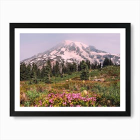 Wildflowers At Mount Rainier Art Print