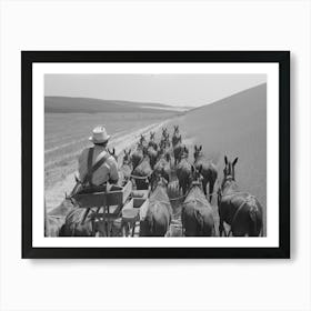 Walla Walla County, Washington, Farmer And The Mules Which Pull The Combine Through The Wheat Fields By Russell Lee Art Print