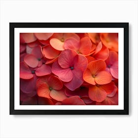 Hydrangeas Art Print