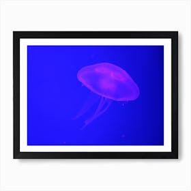 At the aquarium #3 Art Print