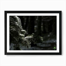 Snowy Forest 20201004 172ppub Art Print