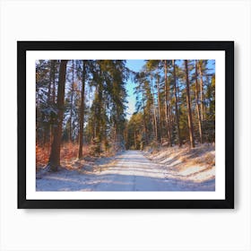 Winter Road In The Forest Art Print